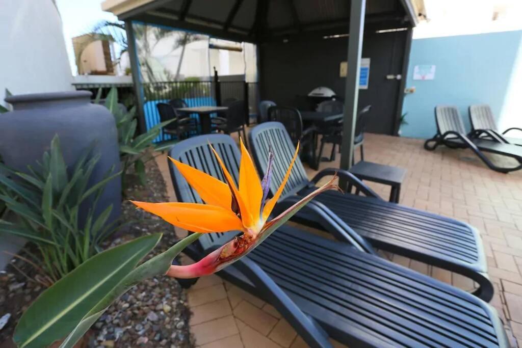 Ocean Views - Floor Apartment Alexandra Headland