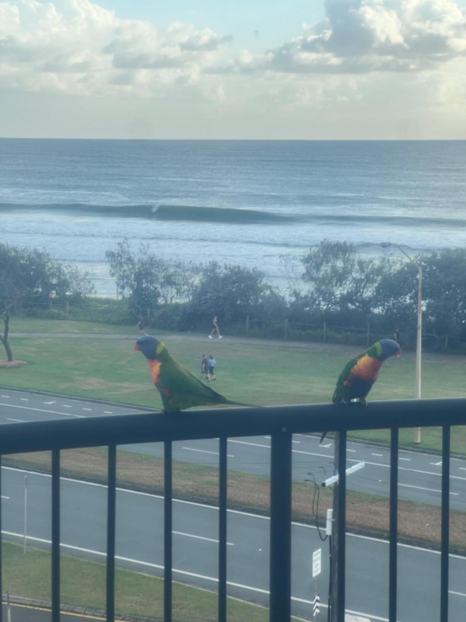 Apartment Ocean Views - Floor Alexandra Headland